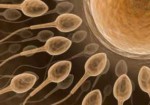 clinicas-de-fertilizacao-humana-em-osasco-1431009111