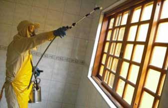 Dedetizadora Dalver - Foto 1