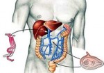 gastroenterologia-em-osasco-1431014877
