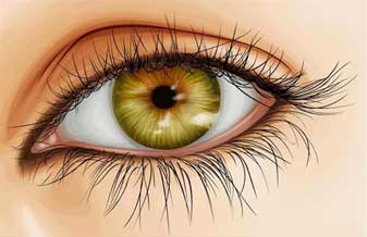 Nova Acrópole - Foto 1