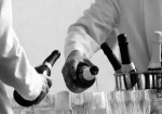 organizacao-de-eventos-em-osasco-1430940099