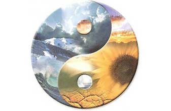 Auricoloterapia e Massagem - Foto 1