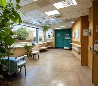 Hospital Veterinário Manchinha