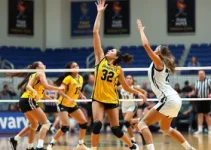 inscrições para núcleos femininos de vôlei e basquete