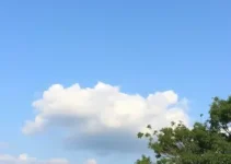 Osasco céu parcialmente limpo