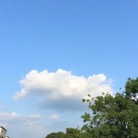 Osasco céu parcialmente limpo