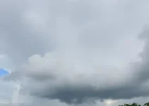 previsão do tempo em Osasco
