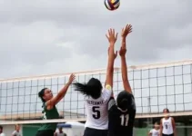 Superliga Feminina de Vôlei