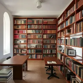 descarte acervo biblioteca pública