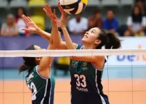 Superliga Feminina