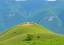 Grupo Pão de Açúcar vagas de emprego