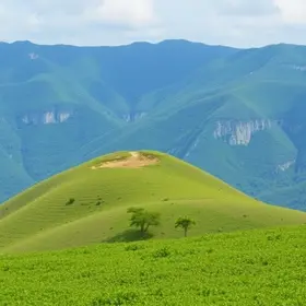 Grupo Pão de Açúcar vagas de emprego