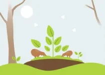 Semana Nacional do Meio Ambiente 2026