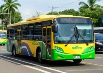 ônibus elétricos