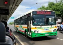 Osasco para Brasilândia de transporte público