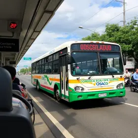 Osasco para Brasilândia de transporte público