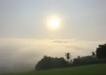 previsão do tempo em Osasco