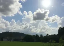 previsão do tempo Osasco