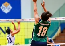 Paulista feminino