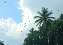previsão do tempo Osasco