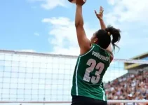 Campeonato Paulista de Vôlei